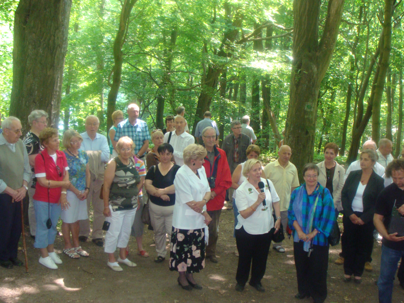 Fot 11. Der Gedenkstein auf dem alten Friedhof in Lagow Kamień