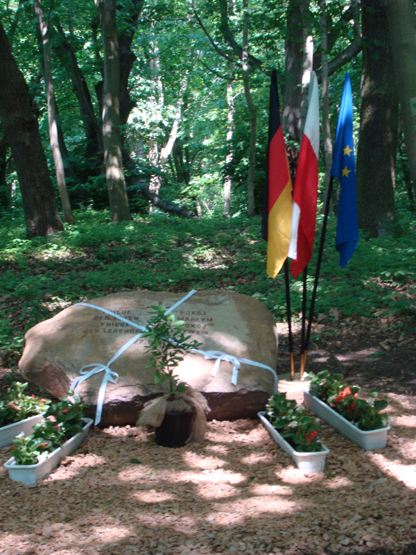 Fot 2. Der Gedenkstein auf dem alten Friedhof in Lagow Kamień