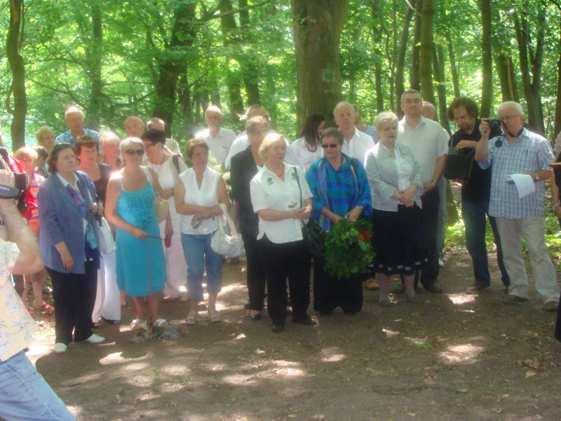 Fot 6. Der Gedenkstein auf dem alten Friedhof in Lagow Kamień