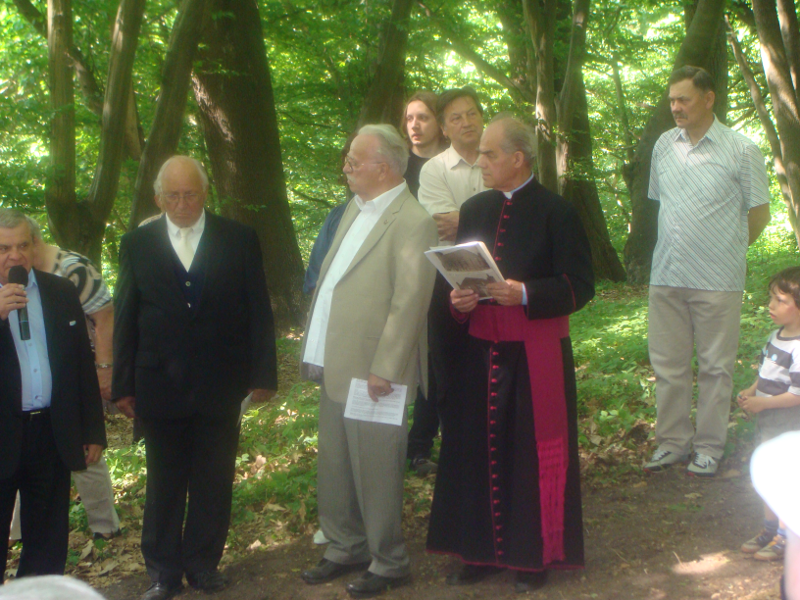 Fot 8. Der Gedenkstein auf dem alten Friedhof in Lagow Kamień