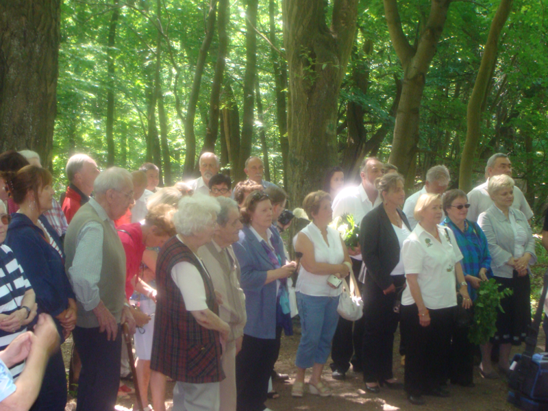 Fot 9. Der Gedenkstein auf dem alten Friedhof in Lagow Kamień