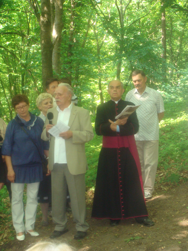 Fot 3. Der Gedenkstein auf dem alten Friedhof in Lagow Kamień