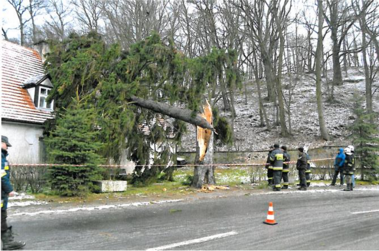 Fot 2. Ostatni Tannenbaum Motocykliści